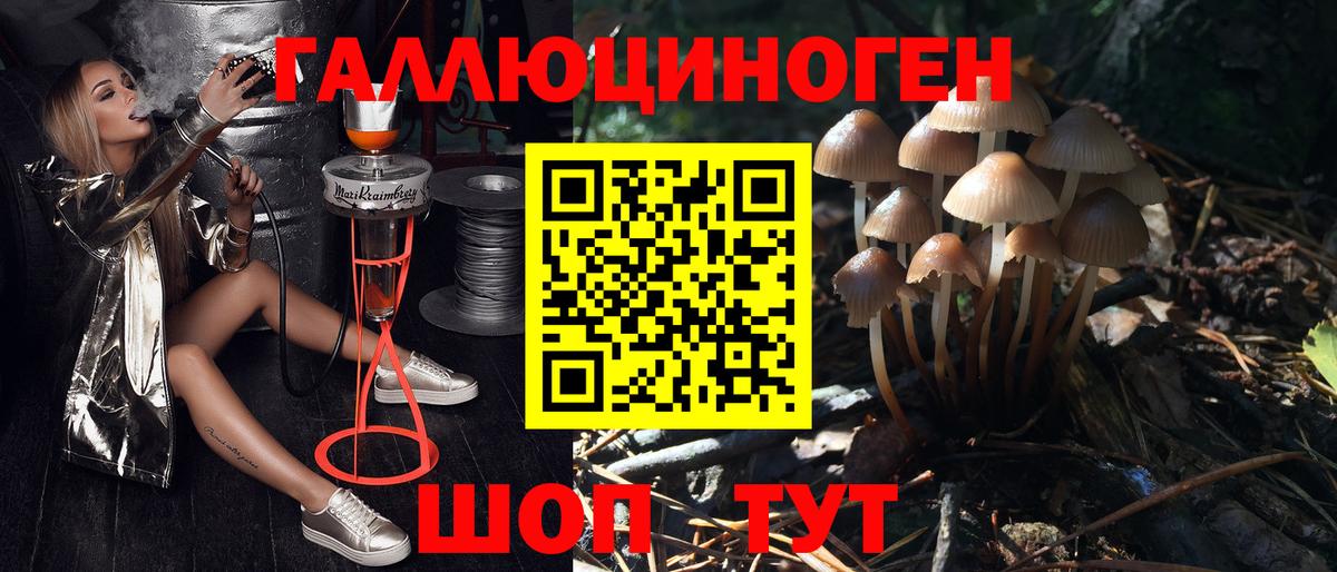 Галлюциногенные грибы GOLDEN TEACHER Янаул